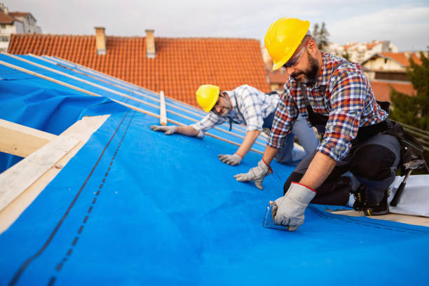 Best Storm Damage Roof Repair  in Mountain City, TN